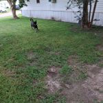 Parkview Mobile Home Park