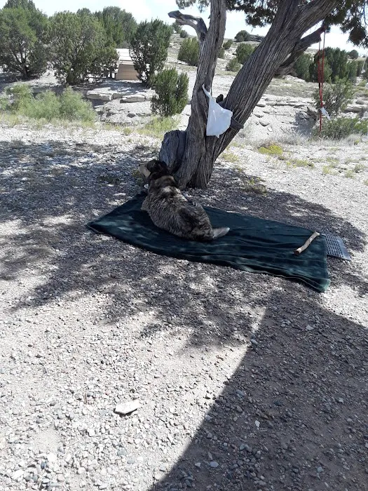 Kettle Creek Campground Picture 1
