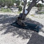 Kettle Creek Campground