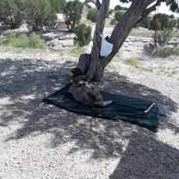 Kettle Creek Campground ico