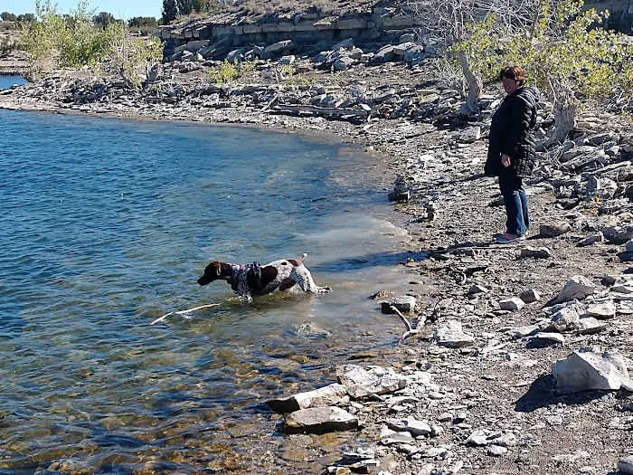 Lake Pueblo State Park - Yucca Flats Campground Picture 8