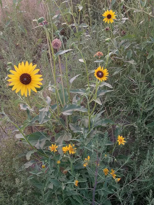 Northern Plains Campground Picture 8