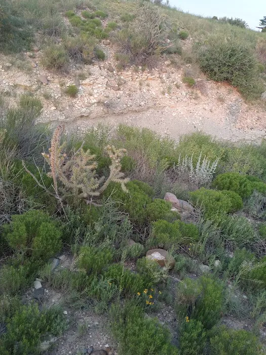 Northern Plains Campground Picture 9