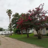 SHADY OAKS MOBILE HOME PARK LLC ico