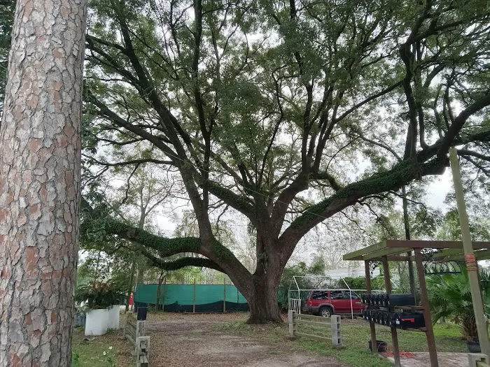SHADY OAKS MOBILE HOME PARK LLC Picture 4