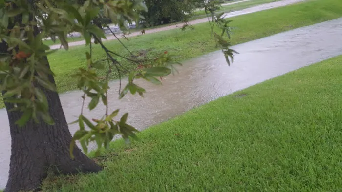 Sheldon Road RV Park Picture 9