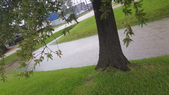 Sheldon Road RV Park Picture 2