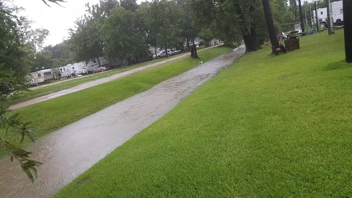Sheldon Road RV Park Picture 6