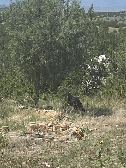 Little Owl Canyon Campground Picture 4