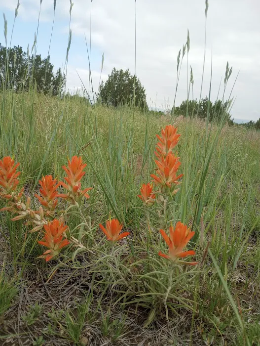 Little Owl Canyon Campground Picture 3
