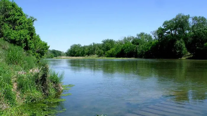 Thousand Trails Colorado River Picture 9