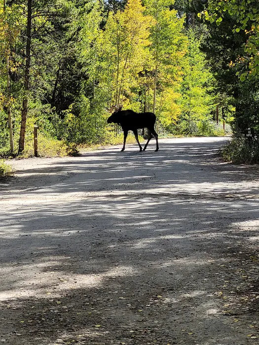 Twin Peaks Campground Picture 4