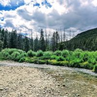 Halfmoon West Campground ico