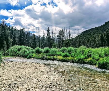 Halfmoon West Campground