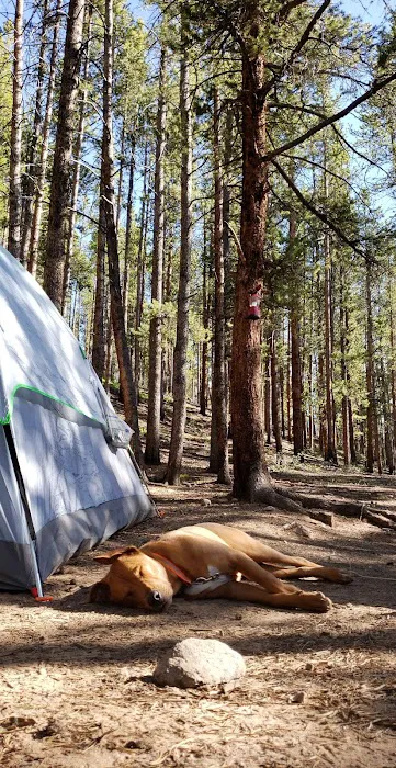 Halfmoon West Campground Picture 7