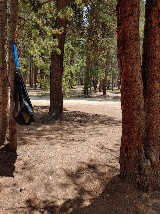 Halfmoon West Campground Picture 8