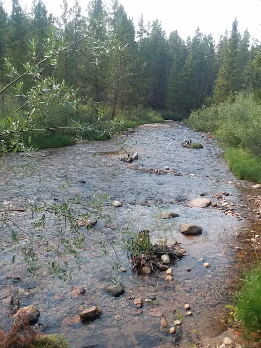 Halfmoon East Campground Picture 7