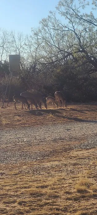 Wildcat RV and Paint Creek MH Parks Picture 10