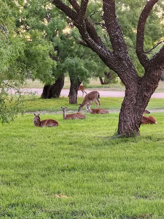 Wildcat RV and Paint Creek MH Parks Picture 5