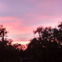 Wildcat RV and Paint Creek MH Parks ico