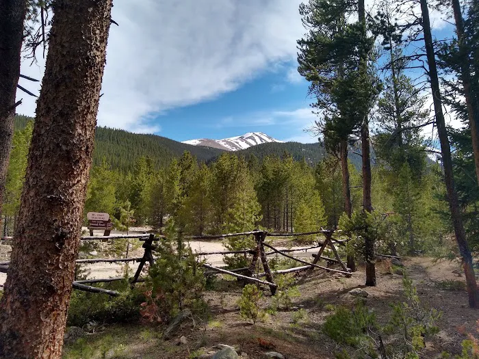 Elbert Creek Campground Picture 2
