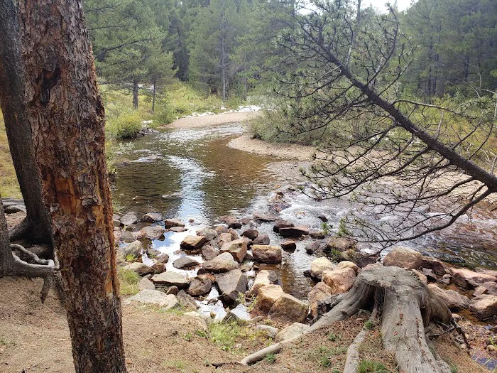 Elbert Creek Campground Picture 9