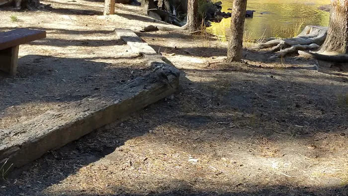 Elbert Creek Campground Picture 8