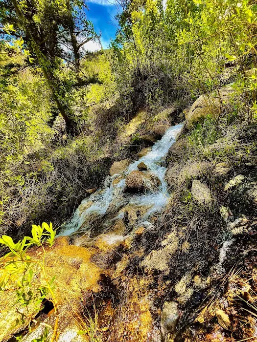 Hughes Meadow Campground Picture 7