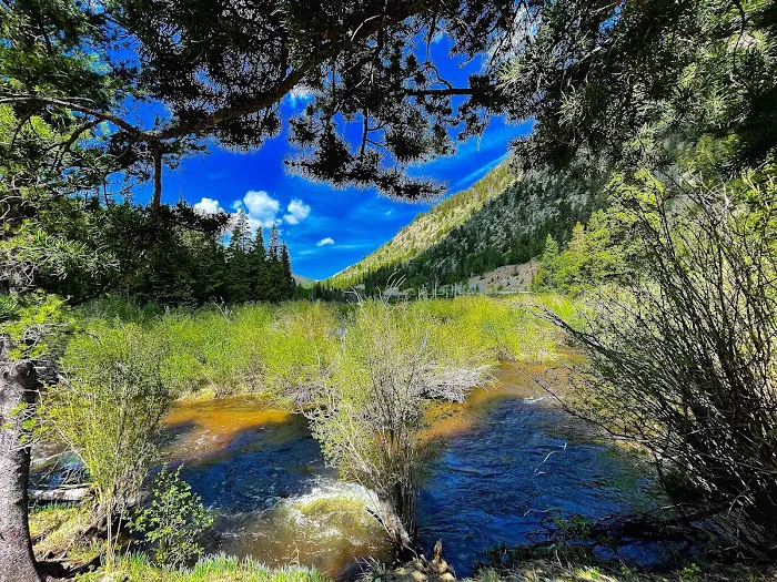 Hughes Meadow Campground Picture 9