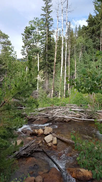Hughes Meadow Campground Picture 1