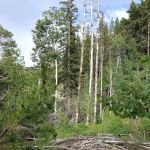 Hughes Meadow Campground