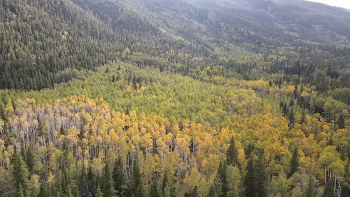 Hughes Meadow Campground Picture 6