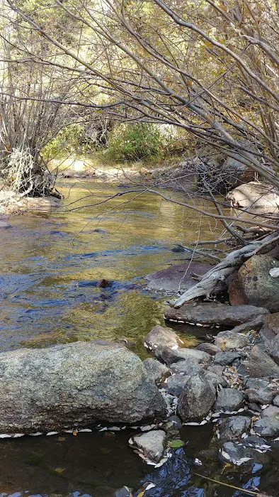 Hughes Meadow Campground Picture 5