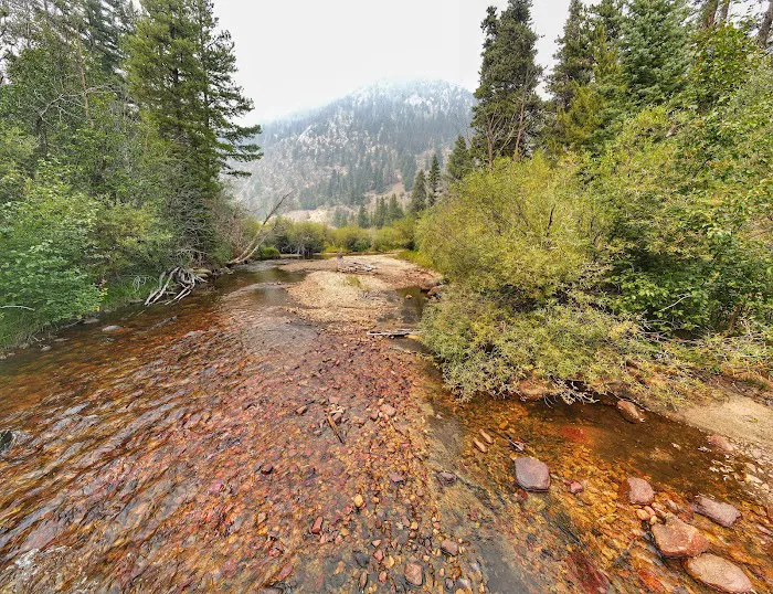 Hughes Meadow Campground Picture 10