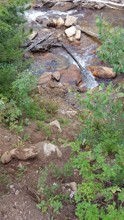 Hughes Meadow Campground Picture 2