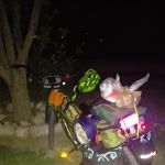 Quail RV Park