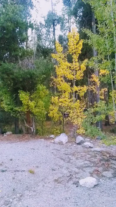 Collegiate Peaks Campground Picture 3