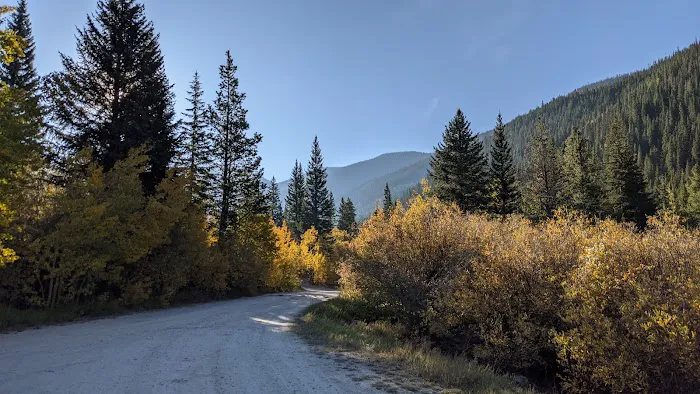 Collegiate Peaks Campground Picture 5