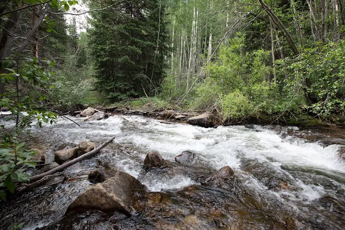 Collegiate Peaks Campground Picture 4