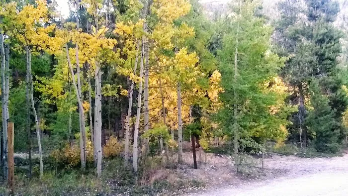 Collegiate Peaks Campground Picture 2