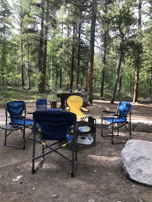 Collegiate Peaks Campground Picture 1