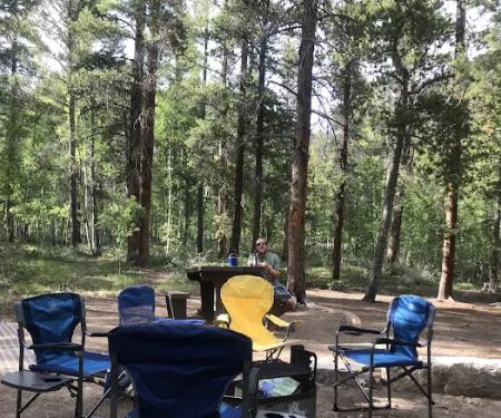 Collegiate Peaks Campground
