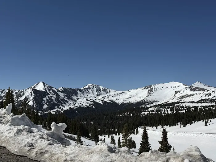 Collegiate Peaks Campground Picture 7