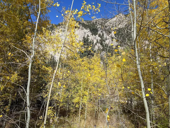 Cottonwood Lake Picnic Area Picture 10
