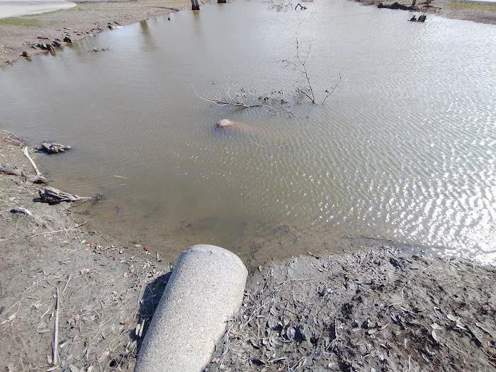 Cameron Prairie RV Park Picture 3