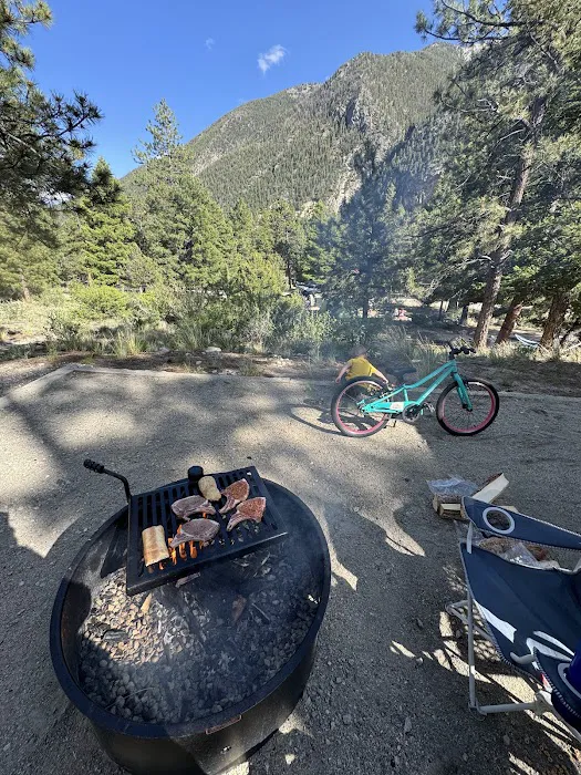Mount Princeton campground Picture 5