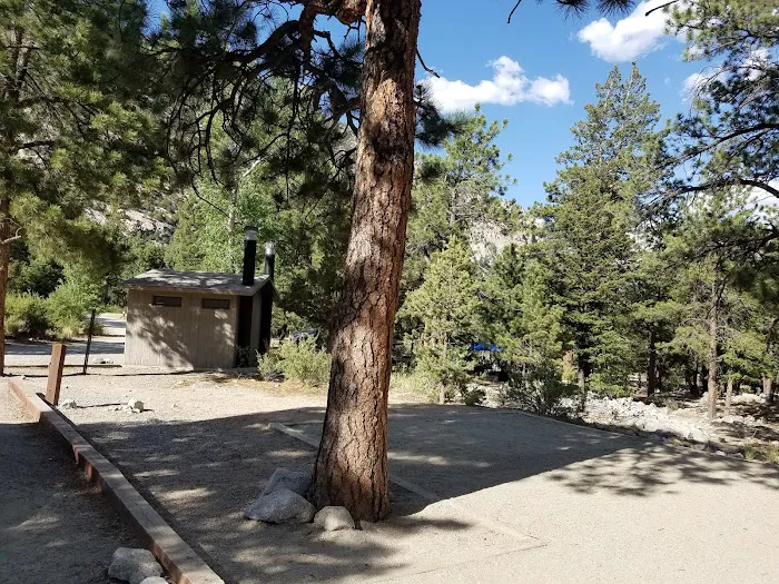 Mount Princeton campground Picture 7