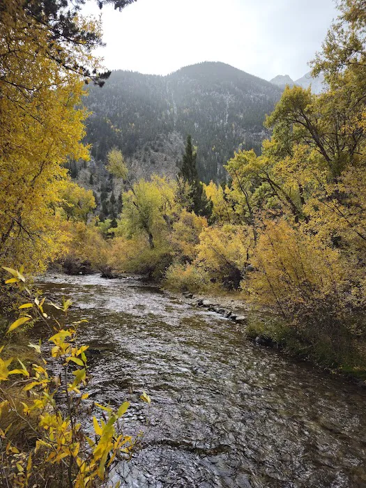 Chalk Lake Campground Picture 6