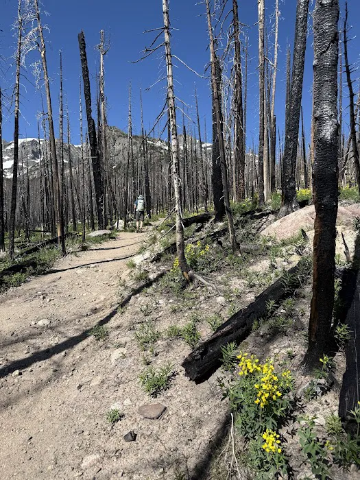 Aspenglen Campground Picture 4