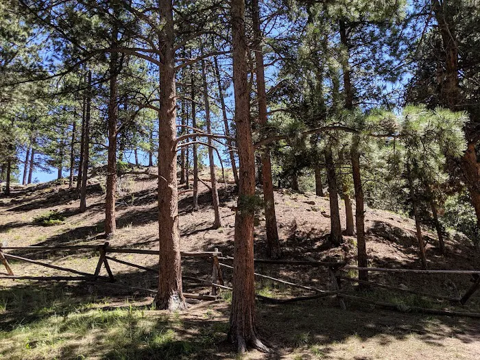 Aspenglen Campground Picture 2